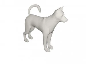Husky 3D Model