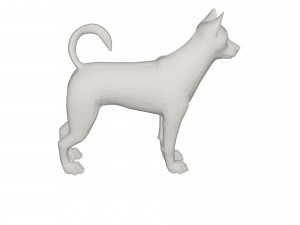 Husky 3D Модель