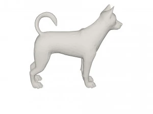 Husky 3D Model