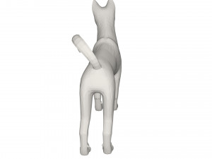 Husky 3D Модель