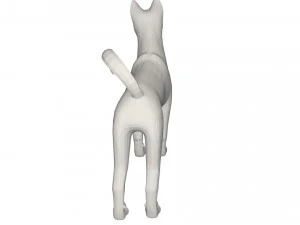 Husky 3D Model