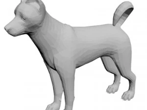 Husky 3D Model