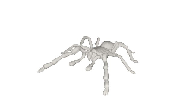 Tarantulas Model 3D .c4d .max .obj .3ds .fbx .stl .blend 