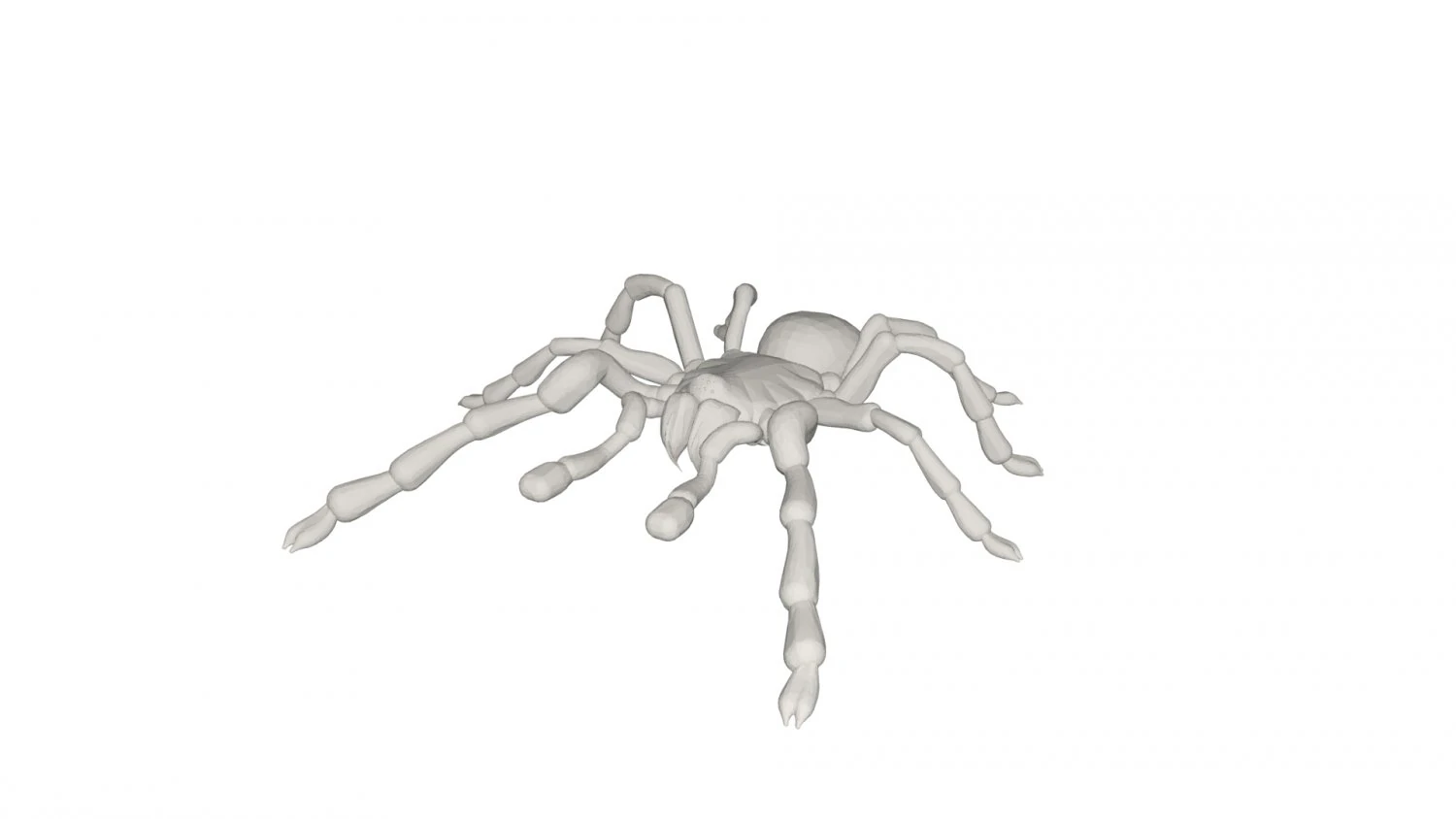 Tarantulas 3D Model .c4d .max .obj .3ds .fbx .stl .blend