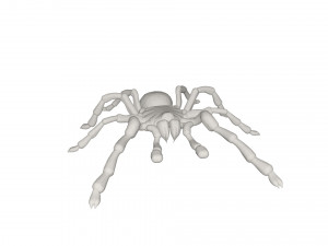 Tarantulas Model 3D