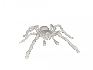 Tarantulas 3D Model