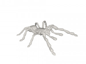 Tarantulas Model 3D