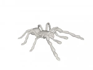 Tarantulas 3D Model