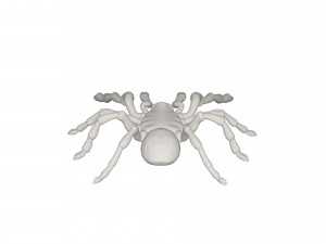 Tarantulas Model 3D