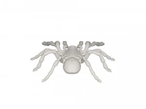 Tarantulas 3D Model