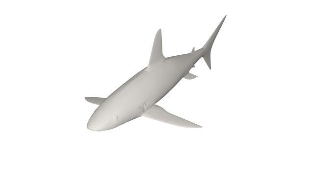 Shark wild animals 3D Model .c4d .max .obj .3ds .fbx .stl .blend 