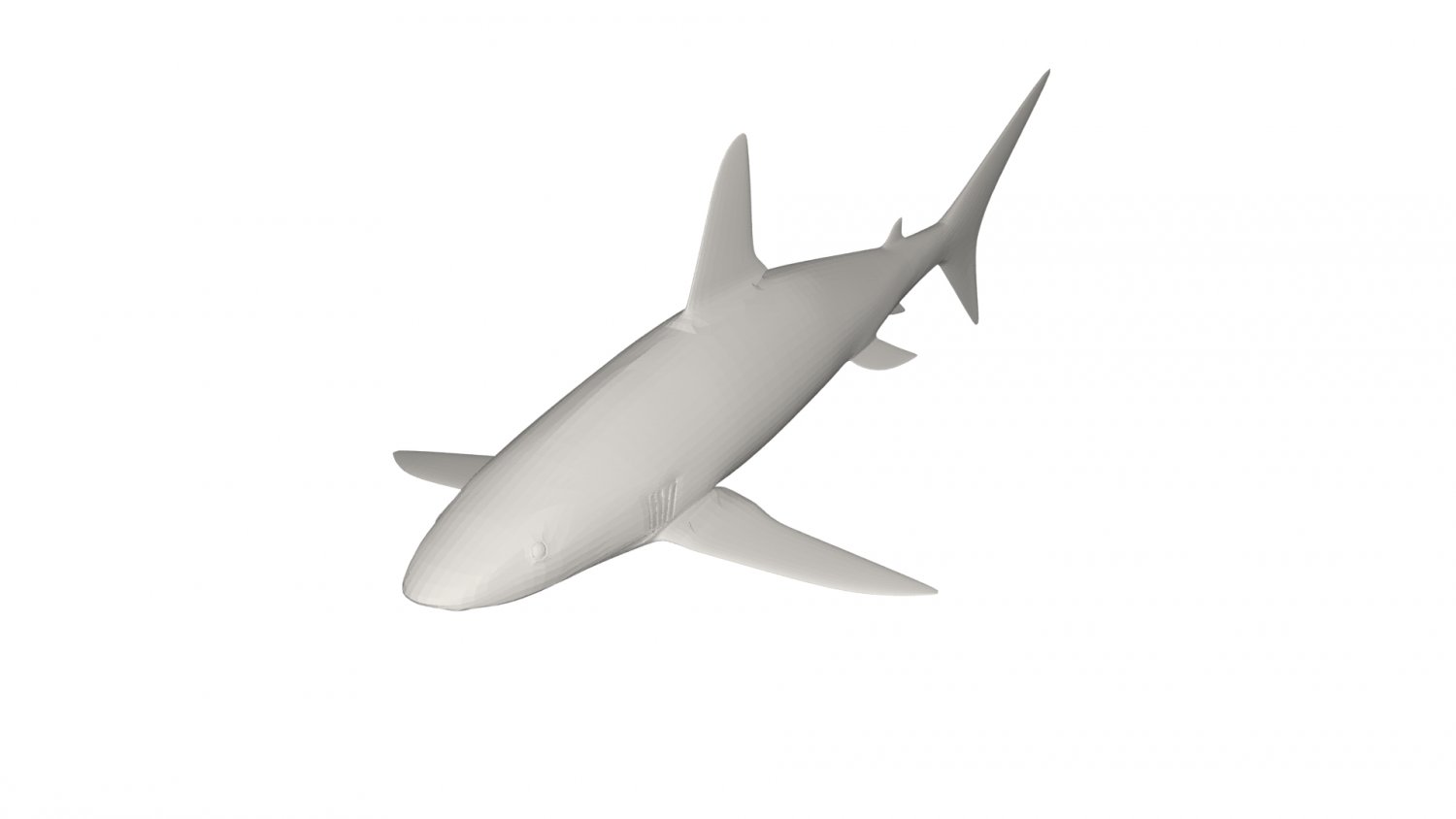 modeling and texturing a shark in Blender 