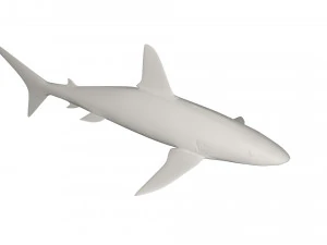 Shark wild animals 3D Model