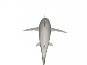 Shark wild animals 3D Model