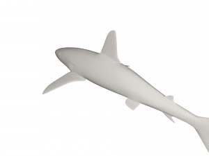 Shark wild animals 3D Model