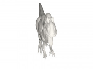 Dinosaur 3D Модель