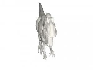 Dinosaur 3D Model