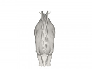 Dinosaur Modèle 3D