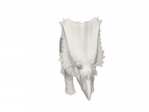 Dinosaur 3D Model