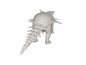 Dinosauro Modello 3D