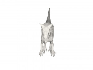Dinosaur 3D Model