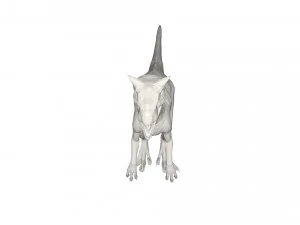 Dinosaur 3D Model