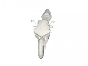 Bike concept 3D Model