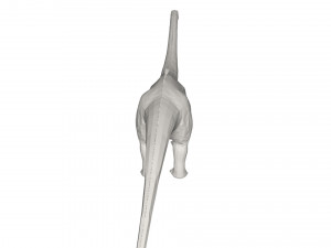 Dinosaur 3D Модель