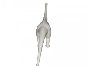 Dinosaur 3D Model