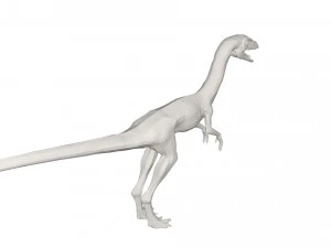Dinosaur 3D Model