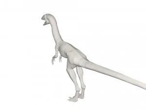 Dinosaur 3D Model