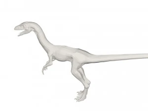 Dinosaur 3D Model