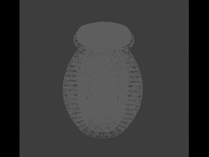 Gallaghercha Chair 3Dモデル