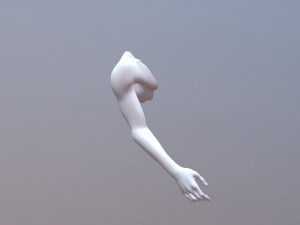 Tattoo Mockup for Procreate 3D Model