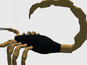 Scorpion lowPoly Model 3D