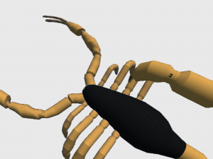 Scorpion lowPoly Model 3D