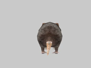 Animal mouse 3D Model