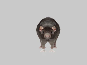 Animal mouse 3D Model