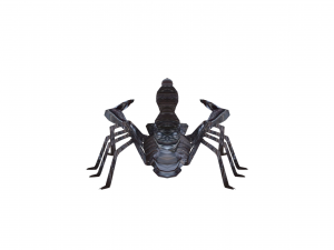 Insect packs 3Dモデル