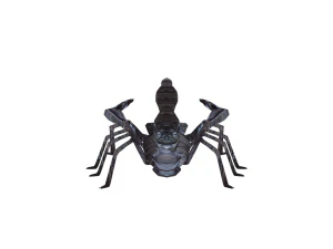 Insect packs 3D Model