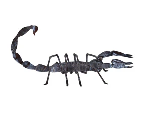 Insect packs 3D Model