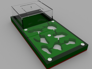 Formicarium Ant farm 3D 模型