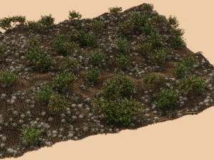 樹木が茂った地形 3Dモデル