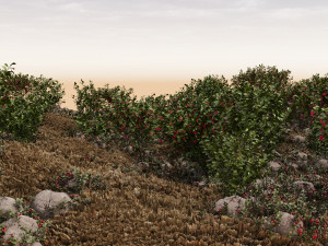 Wooded terrain 3D Model