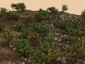 Wooded terrain 3D Model