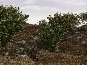 Wooded terrain 3D Model