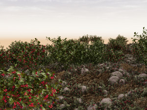 Wooded terrain 3D Model