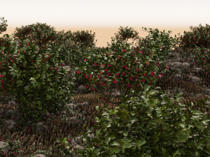 Wooded terrain 3D Model