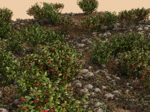Wooded terrain 3D Model