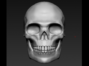 Skull Modelo 3D